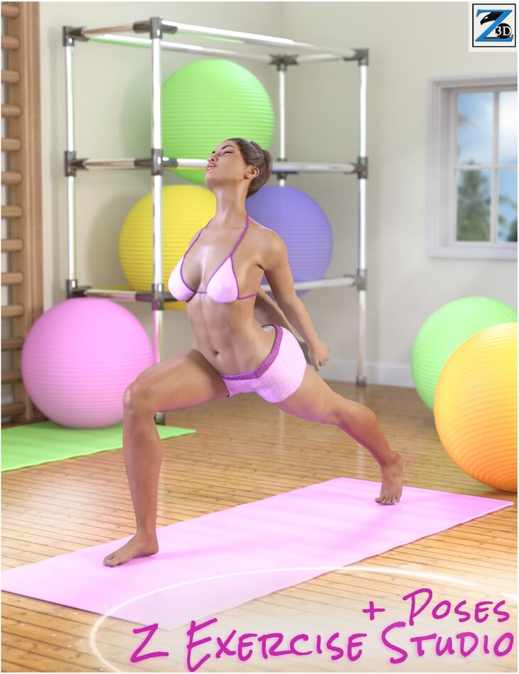 Z Exercise Studio And Poses Render State