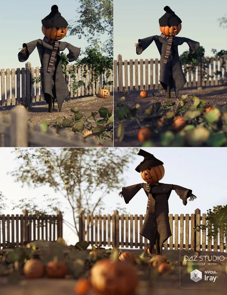 Pumpkin Jack's Pumpkin Patch 