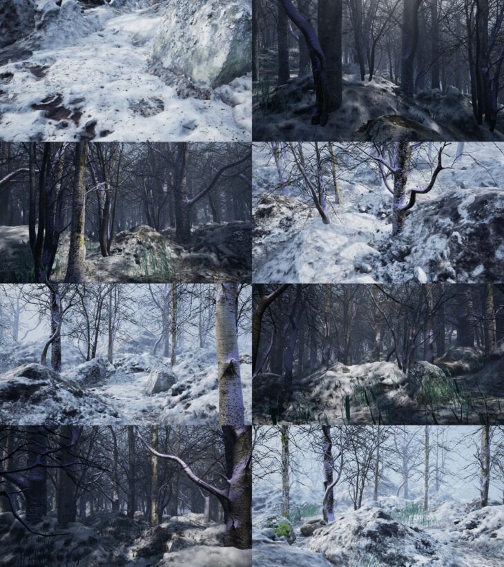 Cold Forest - Render-State