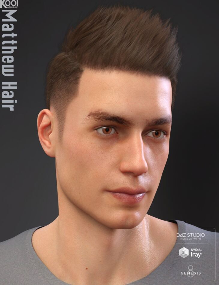 Matthew Hair For Genesis 8 Male Render State