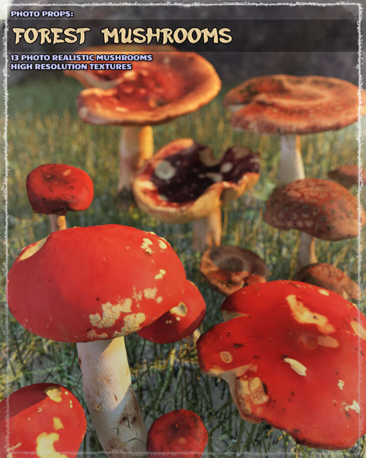 Photo Props: Forest Mushrooms - Render-State