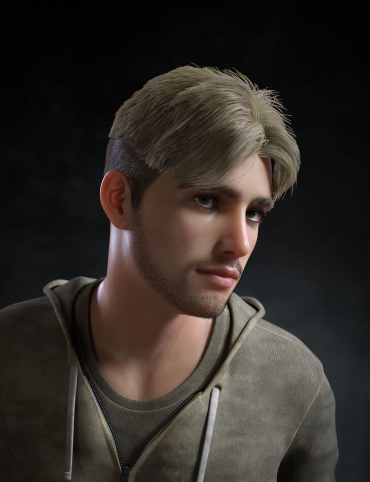 Lee Roy Dforce Bowl Hair For Genesis 9 And 8 Male – Render-state