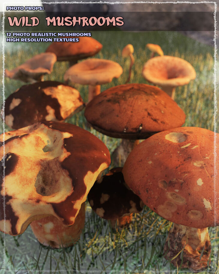 Photo Props: Wild Mushrooms - Render-State