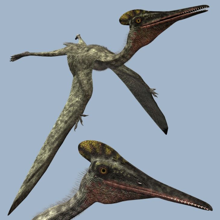 PterodactylusDR – Render-State